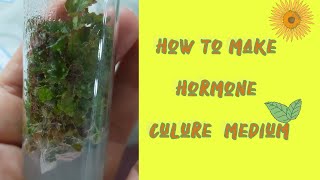 How to make hormone culture medium [upl. by Sioux]