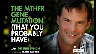 The MTHFR Gene Mutation That You Probably Have  Dr Ben Lynch [upl. by Annawal]