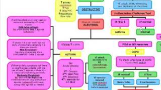 Obstructive vs Restrictive Lung Disease Diagnosis and Management [upl. by Reiniar181]