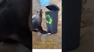 Avoid throwing plastic in sea 10000million 10000viwers 1000subscriber [upl. by Ecirtram904]