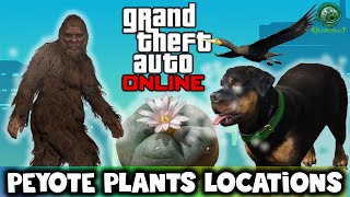 GTA Online  All 51 Land Peyote Plant Locations [upl. by Bahr]