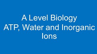 A level Biology ATP Water and Inorganic Ions [upl. by Nanette593]