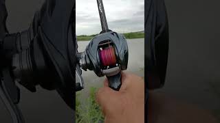 Daiwa Steez A TW 2017 แรงจริงๆ ลม fishingvideo daiwafishing daiwa daiwareels shots shot [upl. by Nolyarg91]