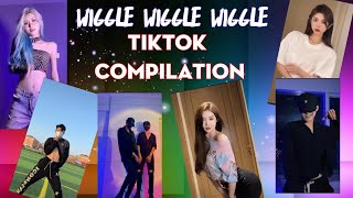 Wiggle Wiggle Wiggle TikTok Remix dance Challenge  Trending [upl. by Aenet]