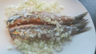 Dutch New Herring 2024  Hollandse Nieuwe 2024  Jan Tom Yam [upl. by Resiak]