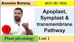 L3 apoplastsymplast and transmembrane Plant Physiology Dr Rajib BorahBsc Botany Axomia Botany [upl. by Nostets]