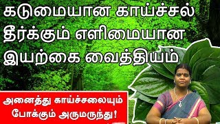 Fever Home Remedies in Tamil Fever Treatment in Tamil Fever Medicine in Tamil Fever Kashayam [upl. by Eirollam]