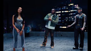 Tee Grizzley  IDGAF feat Chris Brown amp Mariah The Scientist Official Video [upl. by Euginomod352]