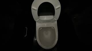 Renta vaccum toilet  Oktoberfest 2024 Youngstorget Oslo Norway [upl. by Paul760]