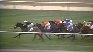 1985 Breeders Cup Turf [upl. by Kristel]