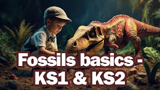 The basics of fossils for KS1 amp KS2 [upl. by Hort567]