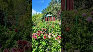 Butchart Gardens my favourite gardens [upl. by Ardnnaed]