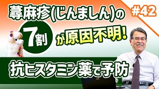 第42話 蕁麻疹じんましんの7割が原因不明！抗ヒスタミン薬で【予防】しよう（蕁麻疹の治療・後編） [upl. by Eimmij]