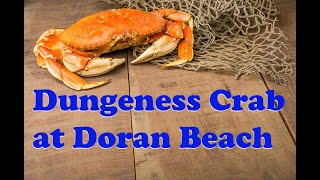 CRAB SEASON OPEN 2024 Dungeness at Doran on Kayak [upl. by Annad]