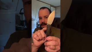 Vosteed Mini Nightshade First Impressions knifereview first impressions edc edcknife shorts [upl. by Ynahpets]