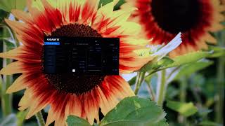 Gigabyte M32U Menu System OSD [upl. by Perreault272]