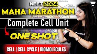 Complete Cell Unit in One Shot  Cell  Cell Cycle  Biomolecules  NEET 2024  Seep Pahuja [upl. by Gainer138]