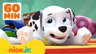 PAW Patrol Marshalls Silliest Moments 🤭 1 Hour Compilation  Nick Jr [upl. by Runkle]