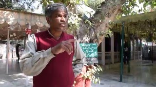 Documentary on Lawrence Garden Bhag e Jinnah Lahore [upl. by Pros]