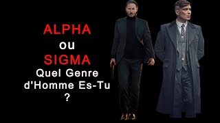 Quel Genre dHomme EsTu  ALPHA VS SIGMA [upl. by Atwood]