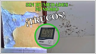 Eliminar la humedad en paredes y techos productos caseros  Como prevenir y quitar humedad y moho [upl. by Ahsym465]