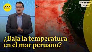 Fenómeno El Niño ¿Comienza a descender la temperatura del mar en el Perú [upl. by Kcirddor]