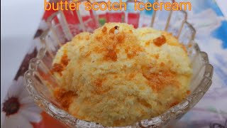 Easiest Butterscotch ice cream made with milk only Butter Scotch Ice Cream  IceCream Recipe [upl. by Olenolin286]