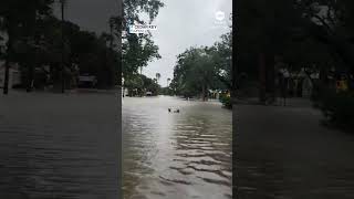 Tropical Storm Debby slams Florida [upl. by Melodie]