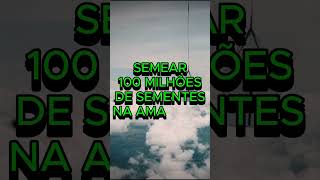 Paraquedista Luigi Cani salta a 300 km por hora para semear 100 milhões de sementes na Amazônia [upl. by Norad]