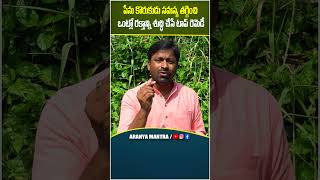 పేను కొరుకుడు సమస్య తగ్గించి ఒంట్లో రక్తాన్ని శుద్ధి చేసే టాప్ రెమెడీ telugu yt tips health [upl. by Necyrb862]