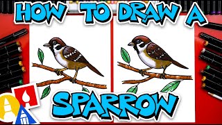 How To Draw A Sparrow [upl. by Akima971]