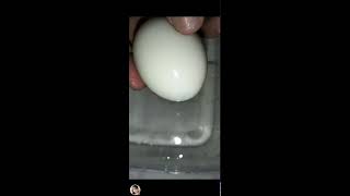 ILONGGA VLOGs is live CRACKING PEELING WHITE DUCK EGG SO YUMMY trending viralvideo [upl. by Rosalia]