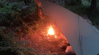 Solo Bushcraft Camp Steak on a Rock and Stinging Nettle Cordage [upl. by Ocer]