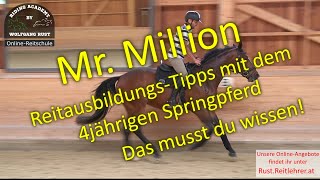 Mr Million 1 Vorstellung viele Tipps und Fehler Anreiten und Ausbilden junger Pferde lernen [upl. by Morville]