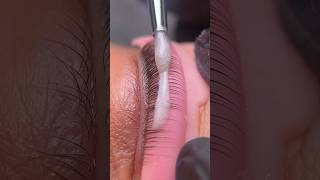 Lash Lift Before amp After 💘 lashlifting lashlifttutorial lashliftandtint [upl. by Nawuq728]