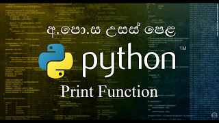 05 0 Print Function  ප්‍රින්ට් function  Python Sinhala [upl. by Mudenihc420]