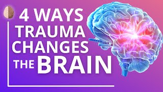 How Trauma and PTSD Change the Brain [upl. by Enaitsirk]