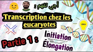 Biologie moléculaire En Arabe Transcription Chez les Eucaryote  SVI S5 Partie 1 [upl. by Avot983]