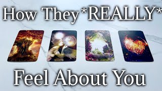 How They REALLY Feel For You ❤️ PICK A CARD 💖 Timeless Tarot Reading [upl. by Quenna47]