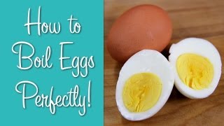 How To Boil Eggs  Perfect Hard Boiled Eggs  Hilah Cooking [upl. by Brouwer219]