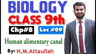 Human alimentary canal  Smart syllabus  Chapter 8  9th class Biology  Lec 9 [upl. by Olivia]