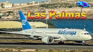 Plane Spotting LAS PALMAS [upl. by Ecraep]