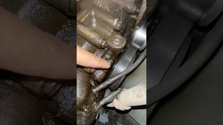 shaft seal oil leak automobile automechanic mechanical shorts [upl. by Sharl]