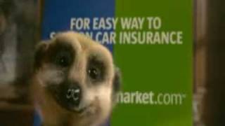 New Compare The Meerkat Advert [upl. by Anita]