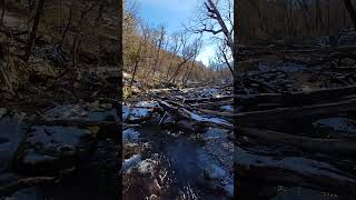 El bosque cuando aun duerme invierno 2024 patagonia argentina nature hiking asmr A° Corbata [upl. by Marvella]