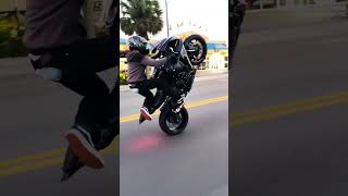 Yamaha R1 The Wheelie King amp Symphony of Sound [upl. by Namyw]