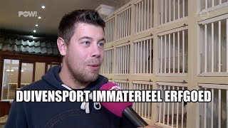 Duivensport immaterieel erfgoed [upl. by Winfred]