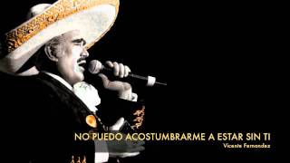 Vicente Fernandez  No Puedo Acostumbrarme A Estar Sin Ti [upl. by Sibley874]