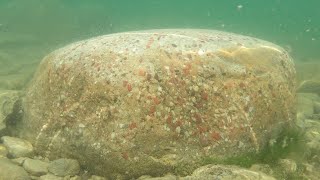 The Biggest and Best Puddingstone Ive Ever Found [upl. by Annoval]