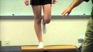 Patellofemoral Joint Examination  Observations [upl. by Aneras332]